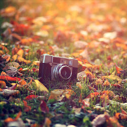 autumn ipad wallpapers hd themed apps days cool gadgets flash games enjoy