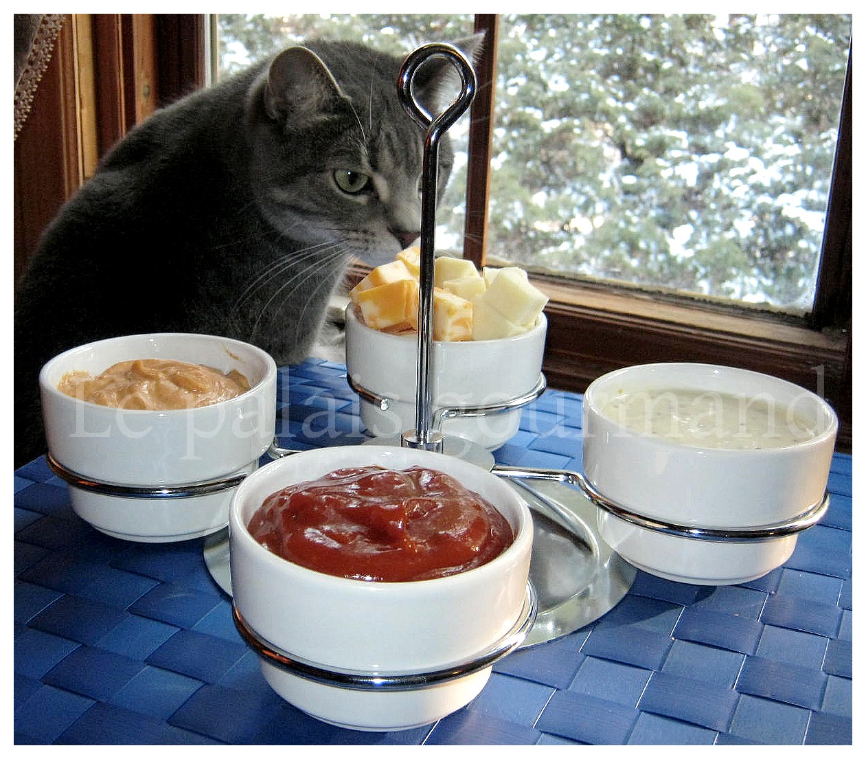 Le palais gourmand Sauces pour fondue