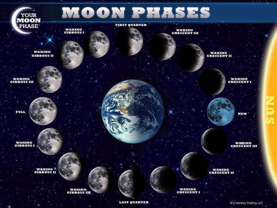 The Cool Science Dad Learn The Moon Phases