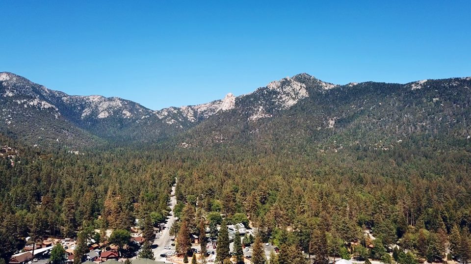 Timeless Environments Saturday in Idyllwild viewing it's most gigantic