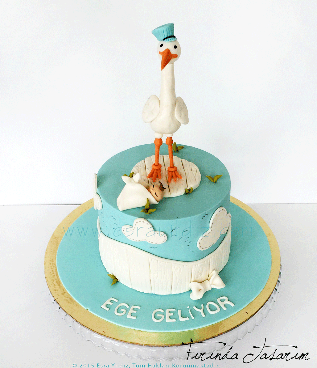 FIRINDA TASARIM Ege�nin Bebek Pastası