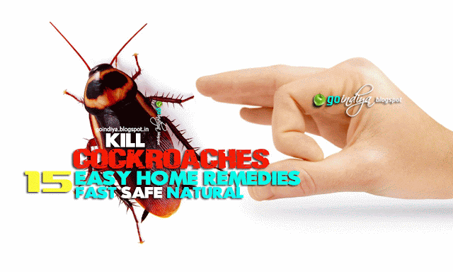 How do you treat a home for roaches?