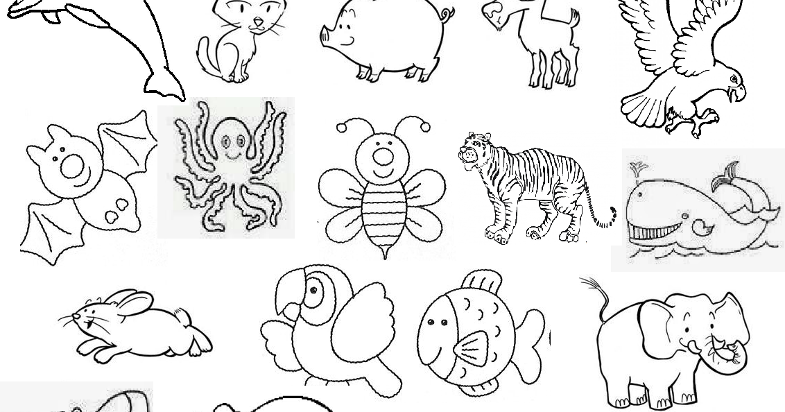 Para aprender con tu XO: Animales terrestres, aéreos y acuáticos.