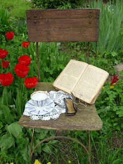 Tes afternoon tea, garden, tea cup, book