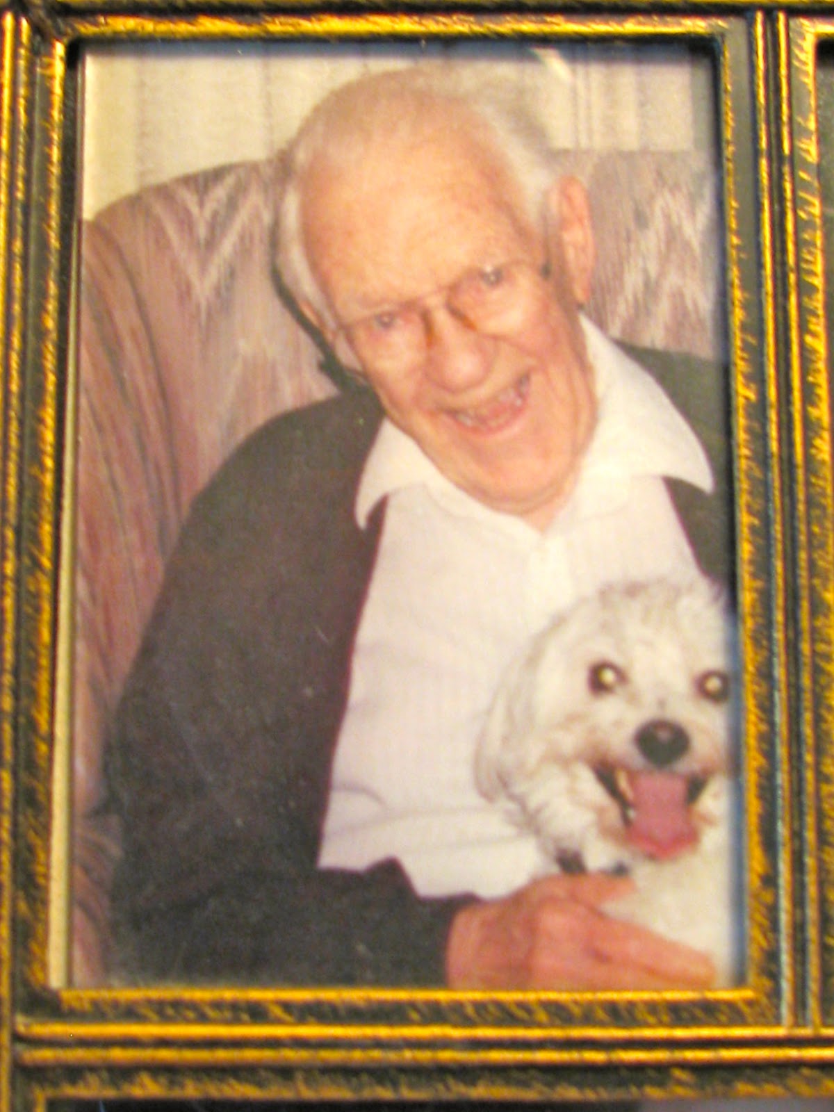 Madison, In: Remembering A Life Well Lived (Morgan & Nay Obituary) - rgbwan5