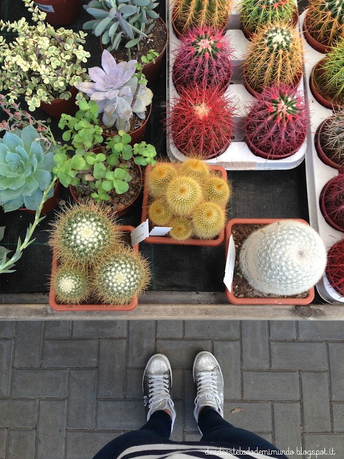 desdeesteladodemimundo.blogspot.it