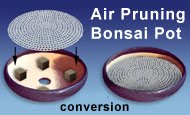 Air Pruning  Bonsai Pot