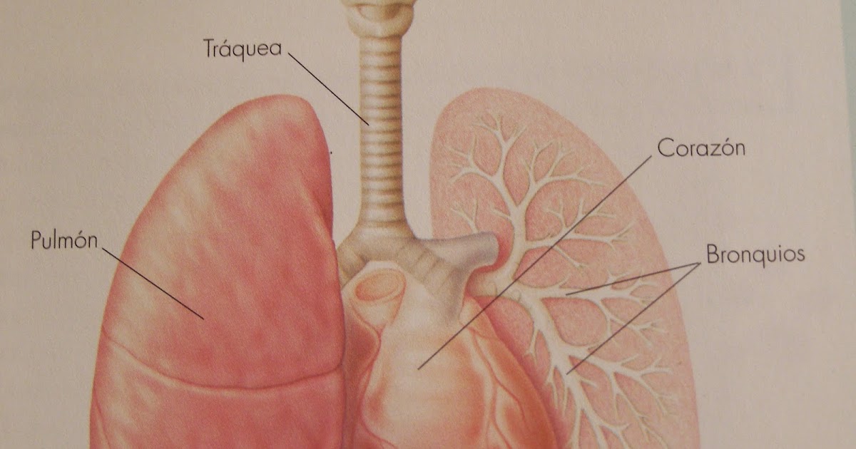 Medicina Tradicional China: SOBRE LA TOS- PARTE II