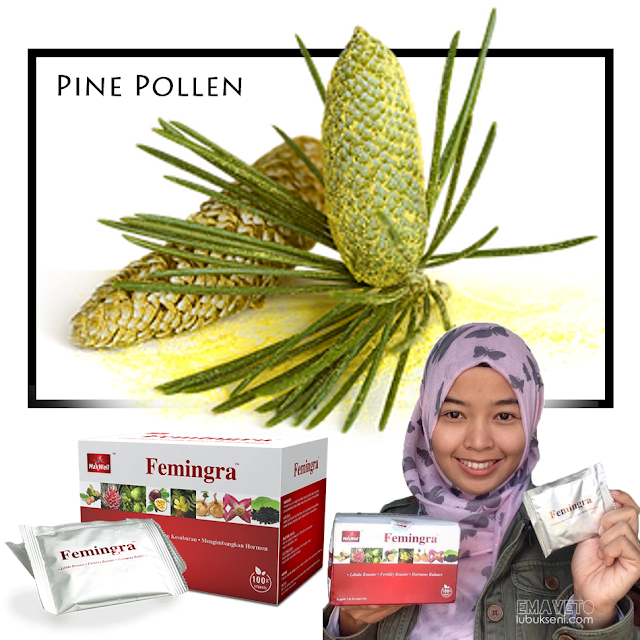 Femingra _ Pine Pollen, buah Markisa, Horny Goat Weed (Epimedium), Akar Maca, Manjakani, Tribulus Terrestris dan Puararia Mirifica _ meningkatkan libido & kesuburan, serta seimbangkan hormon. Femingra _ Pine Pollen, buah Markisa, Horny Goat Weed (Epimedium), Akar Maca, Manjakani, Tribulus Terrestris dan Puararia Mirifica _ meningkatkan libido & kesuburan, serta seimbangkan hormon.