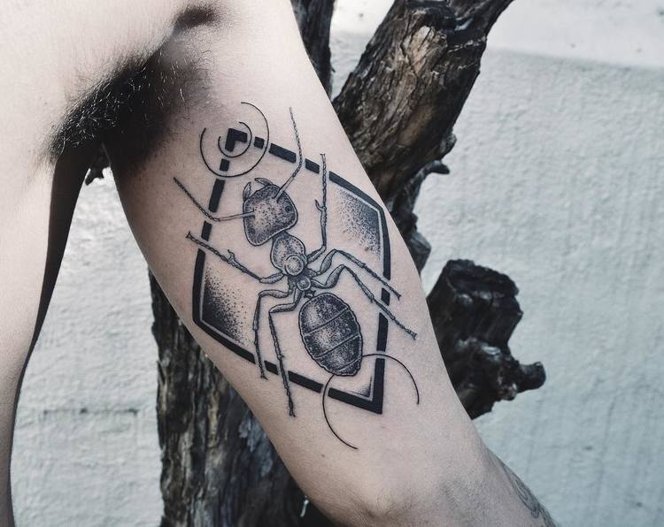 Tatuaje de hormigas por metamorphosistattoo