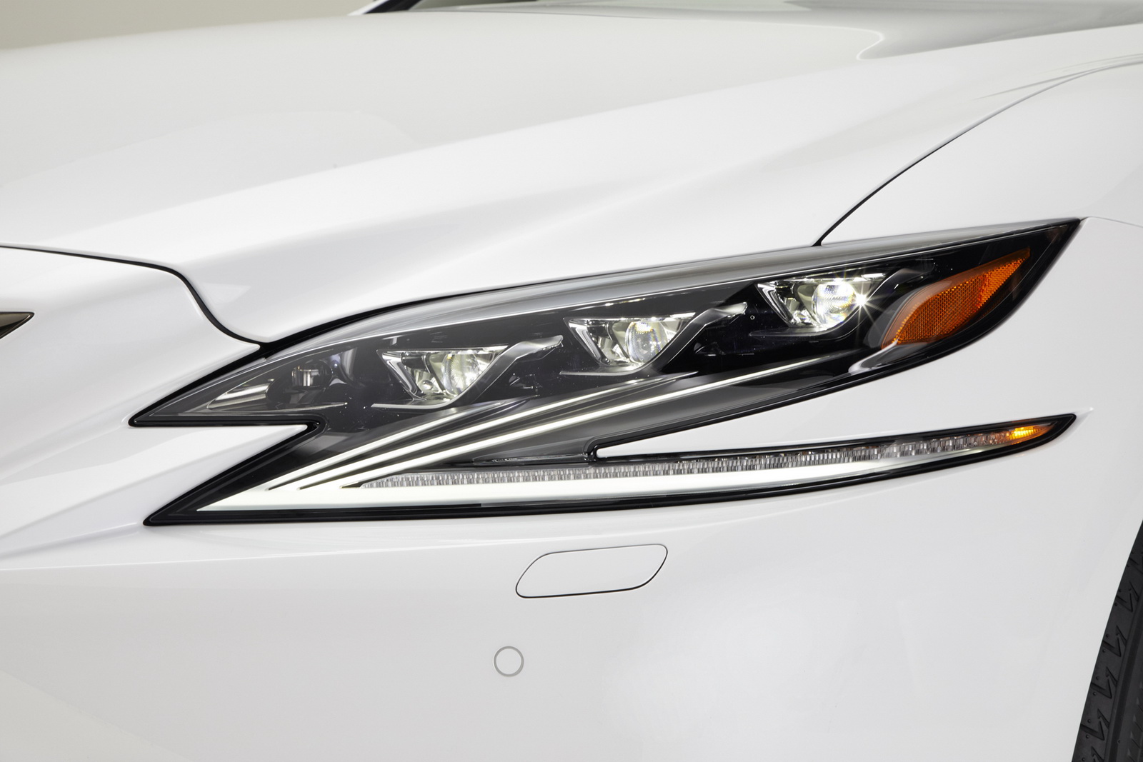 2018 신형 렉서스 LS 500 F-Sport [데이터주의] | 인스티즈