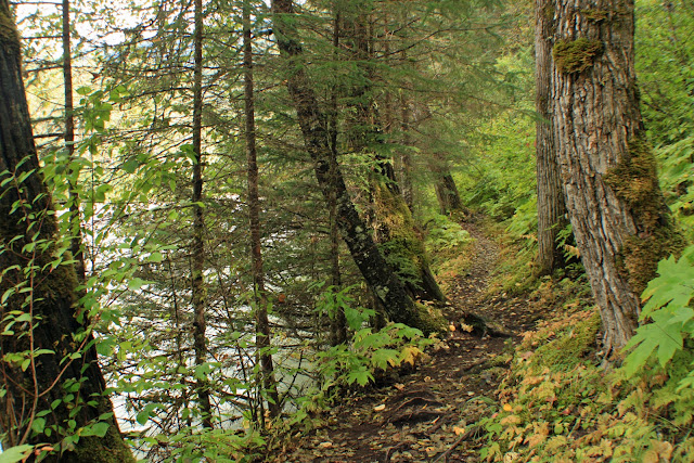 LA QUIMERA DEL ORO. EL CHILKOOT TRAIL (I) - LA ULTIMA FRONTERA. CRONICAS DE ALASKA (9)