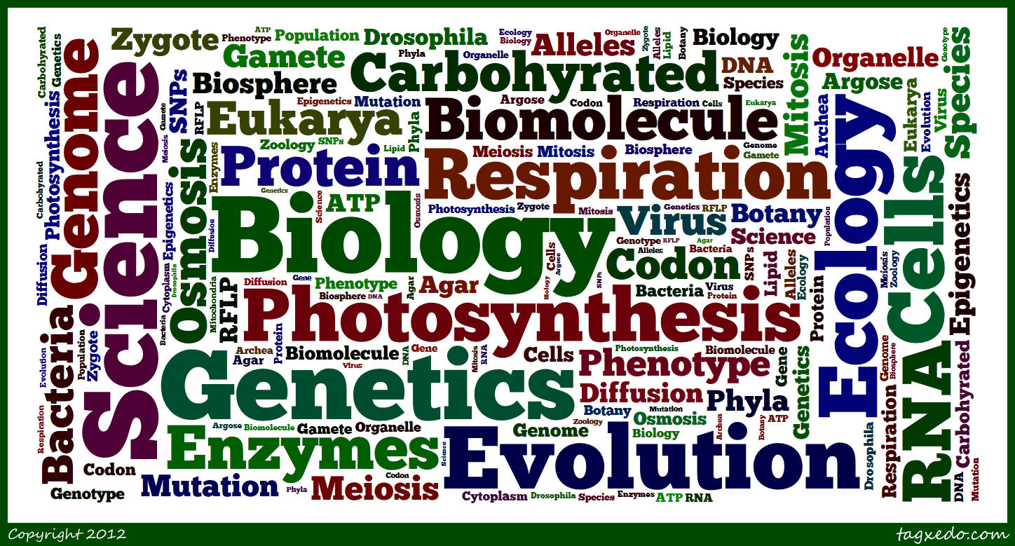 Thea's blog (მეცნიერება Science) ბიოლოგიის მიმართულებები