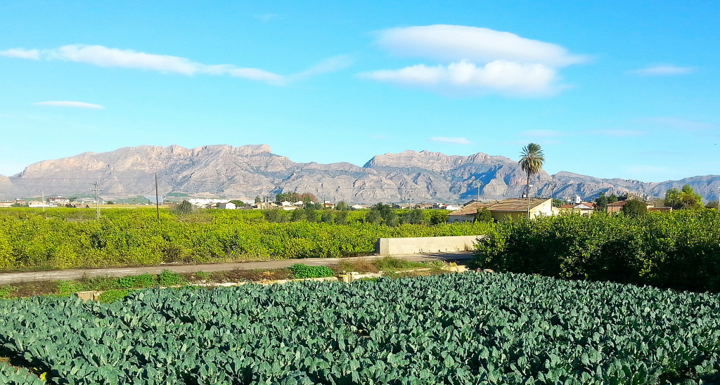 Wikiloc | Ruta Recorrido por el patrimonio histórico y cultural en las  Huerta de Murcia y Orihuela. Anthercas