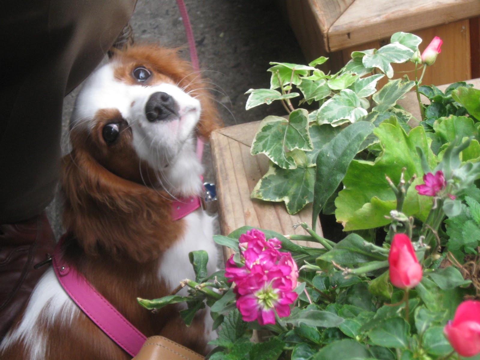 Hungry Couple Gracie's Cafe