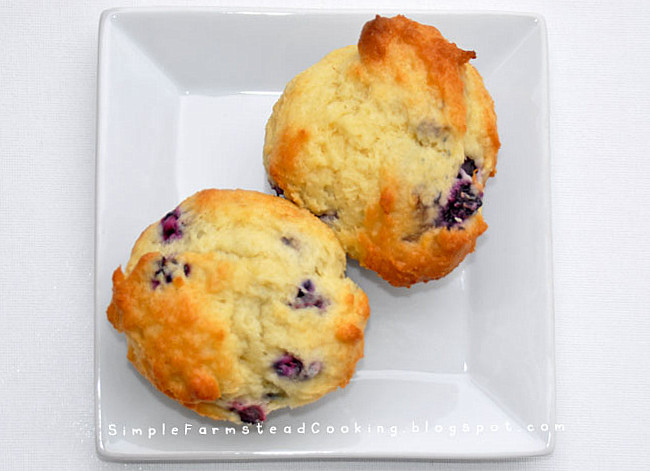America S Test Kitchen Whole Wheat Blueberry Muffins America S Test Kitchen Whole Wheat Blueberry Muffins