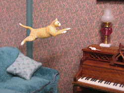 flying cat sylvia mobley pinerose studio