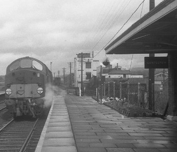 Public Transport Experience Have You Been to Conder Green? [1]