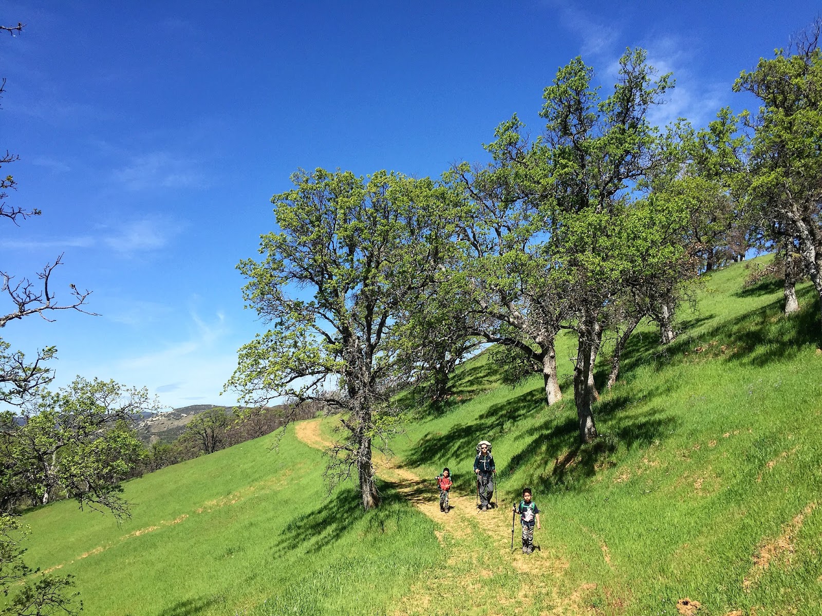 RunHikePlay Cache Creek Ridge Trail Backpacking Trip with the Fam