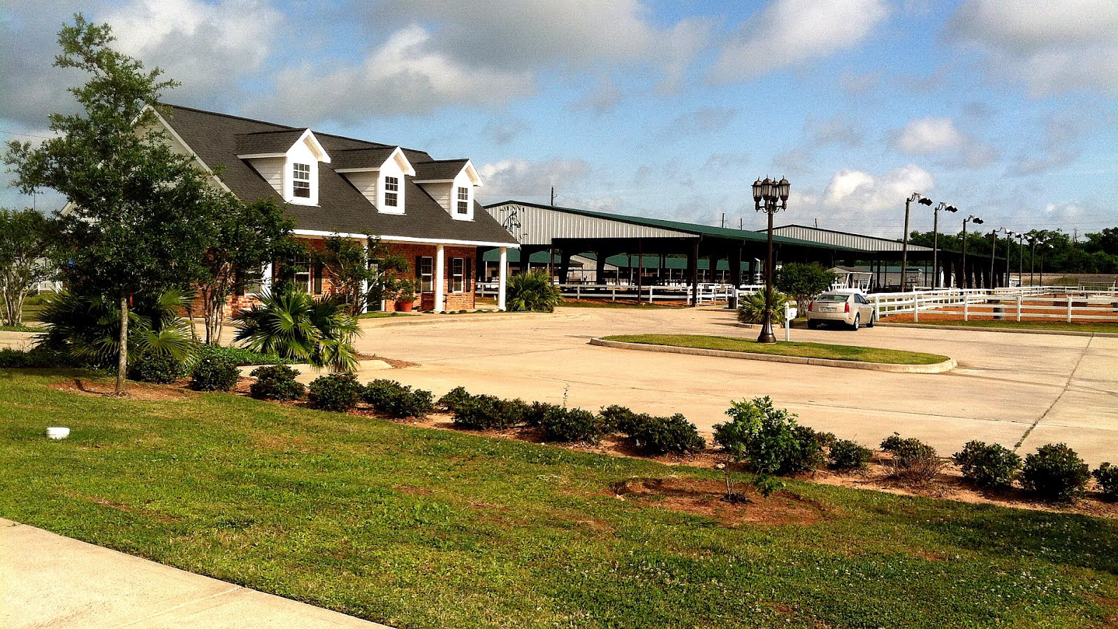 Horse Stables Houston Tx Horse Choices