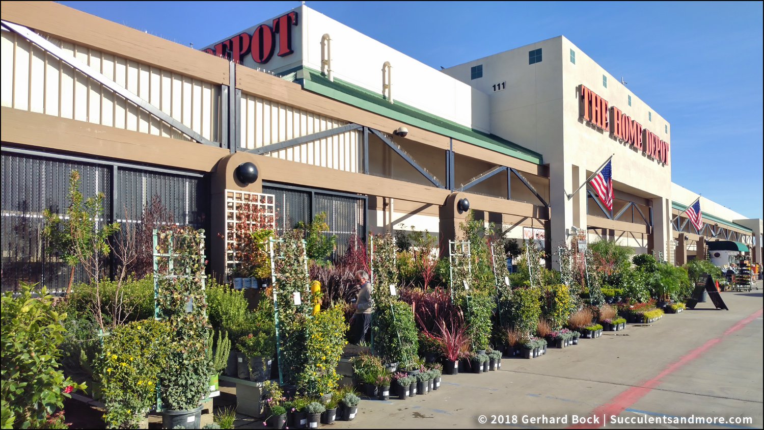 I discovered a great nursery—and it's a Home Depot!