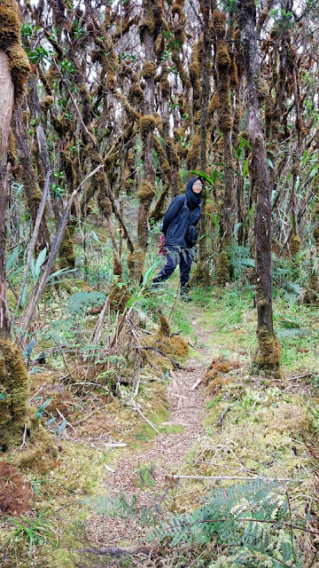pendakian-gunung-latimojong