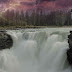 Benefits Of Water To Living Organisms