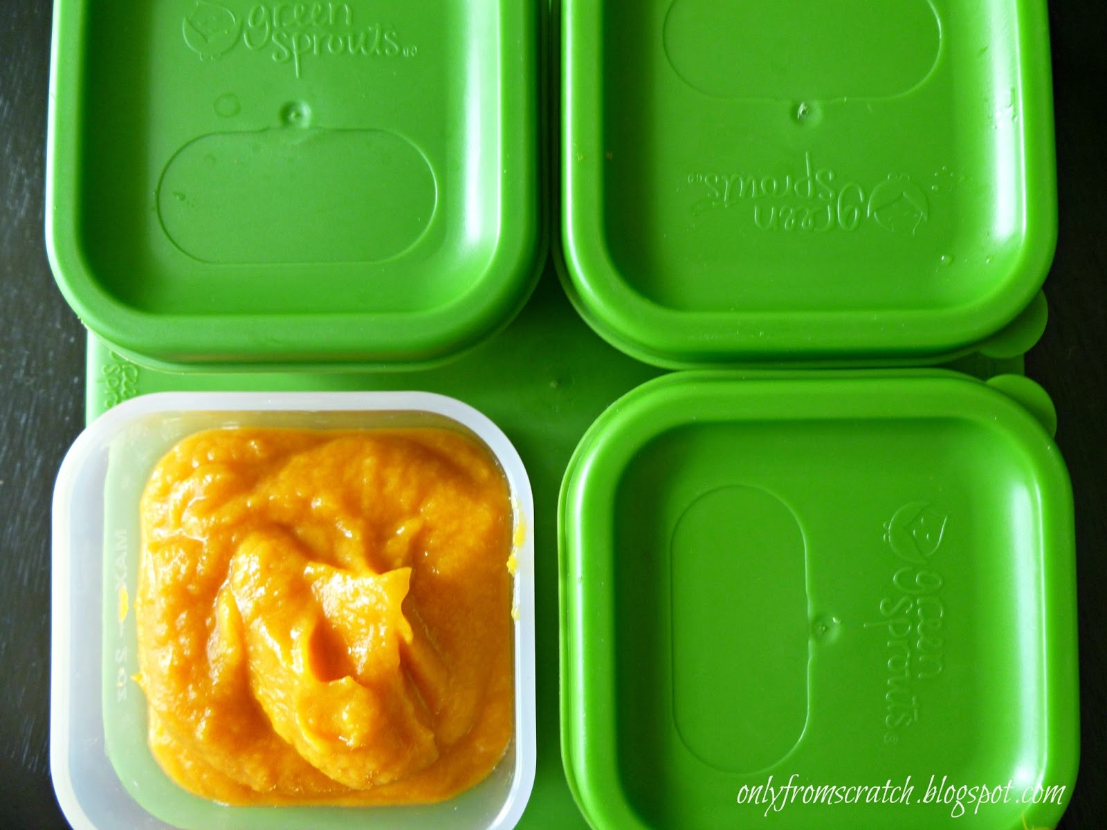Only From Scratch Make Your Own Baby Food