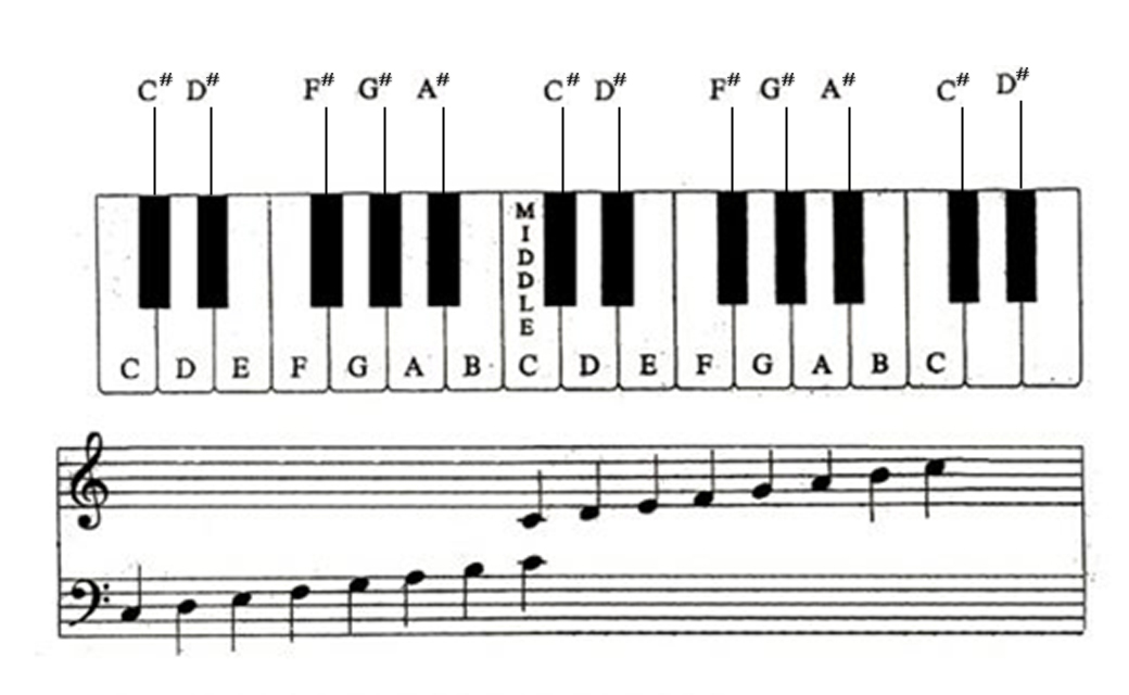 Piano Notes Chart Labeled