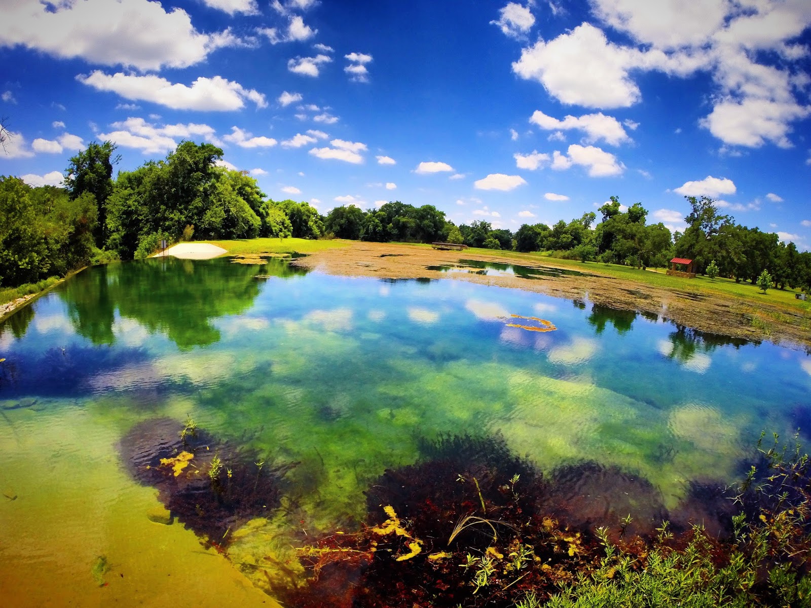 Gavin's Fishing Adventures MORNING AT BERRY SPRINGS PARK