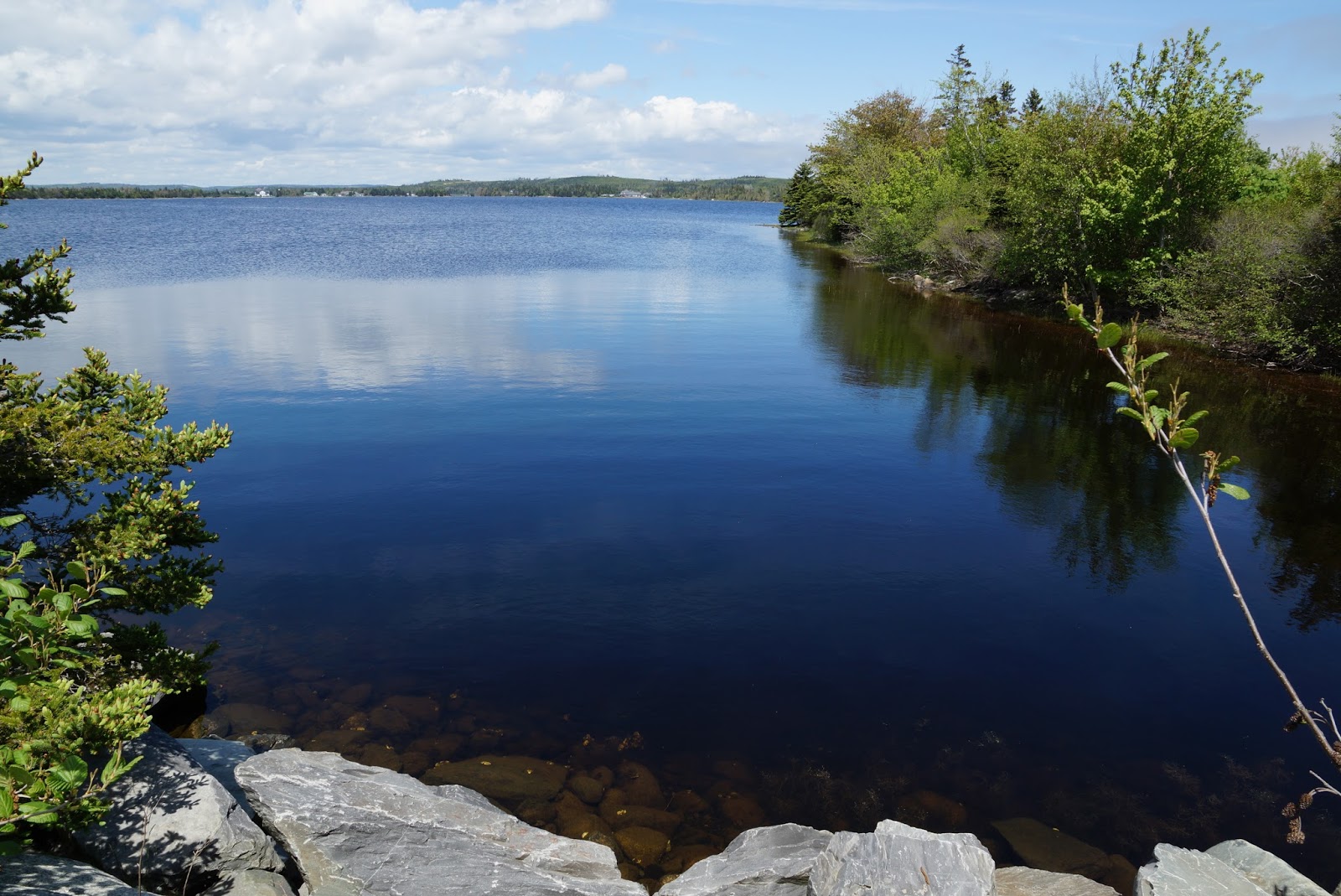 Veils of Kali's Myst Porters Lake Provincial Park