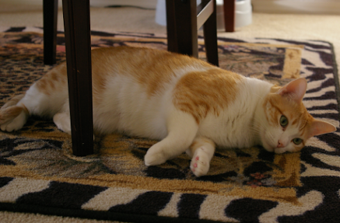 Izzy