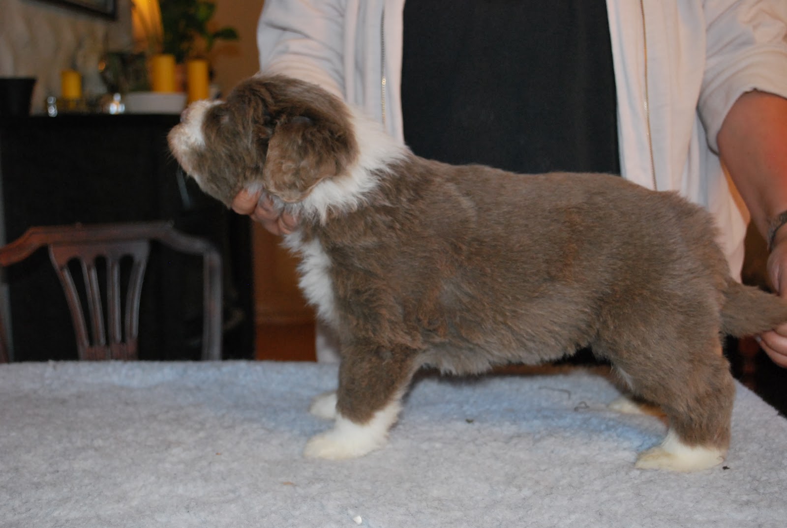DSC_0874.JPG