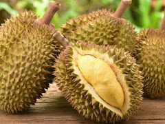 Ternyata Ini 10 Manfaat Durian untuk Kesehatan