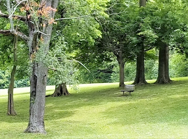 Scenes From My Qeekend - Happy July 1! - toward the far bench bohohome.com @bohosusan