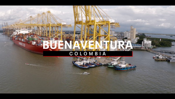 The Business of Drugs Temporada 1 Completa HD 720p Latino Dual