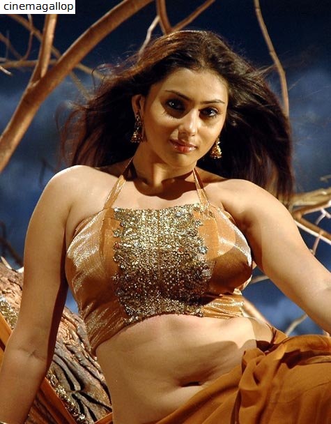 Namitha navel images-HD photos Namitha navel images-HD photos