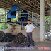 SAU NHIỀU NĂM MÁY ÉP BÙN KHUNG BẢN VIỆT NAM CỦA VĨNH PHÁT VẪN VẬN HÀNH TỐT