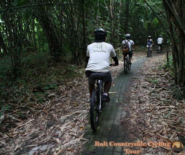 Fucked On Bike - Photos Of Bamboo Forest Bali Countryside Cycling Tour Tracks ...
