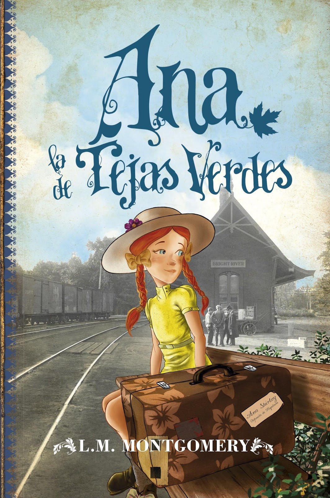 Mi Baúl De Libros Ana De Tejas Verdes