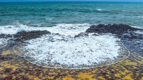 26 Best Places To Travel In Goa, India 26 Best Places To Travel In Goa, India