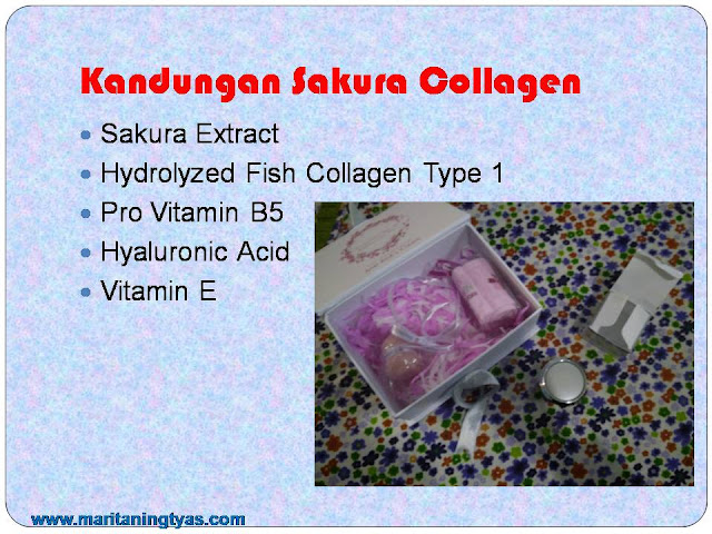 kandungan Sakura Collagen PT Meiji