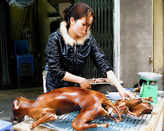 A girl is chopping dog meat. A girl is chopping dog meat.