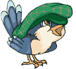 passaro_fofo1.gif