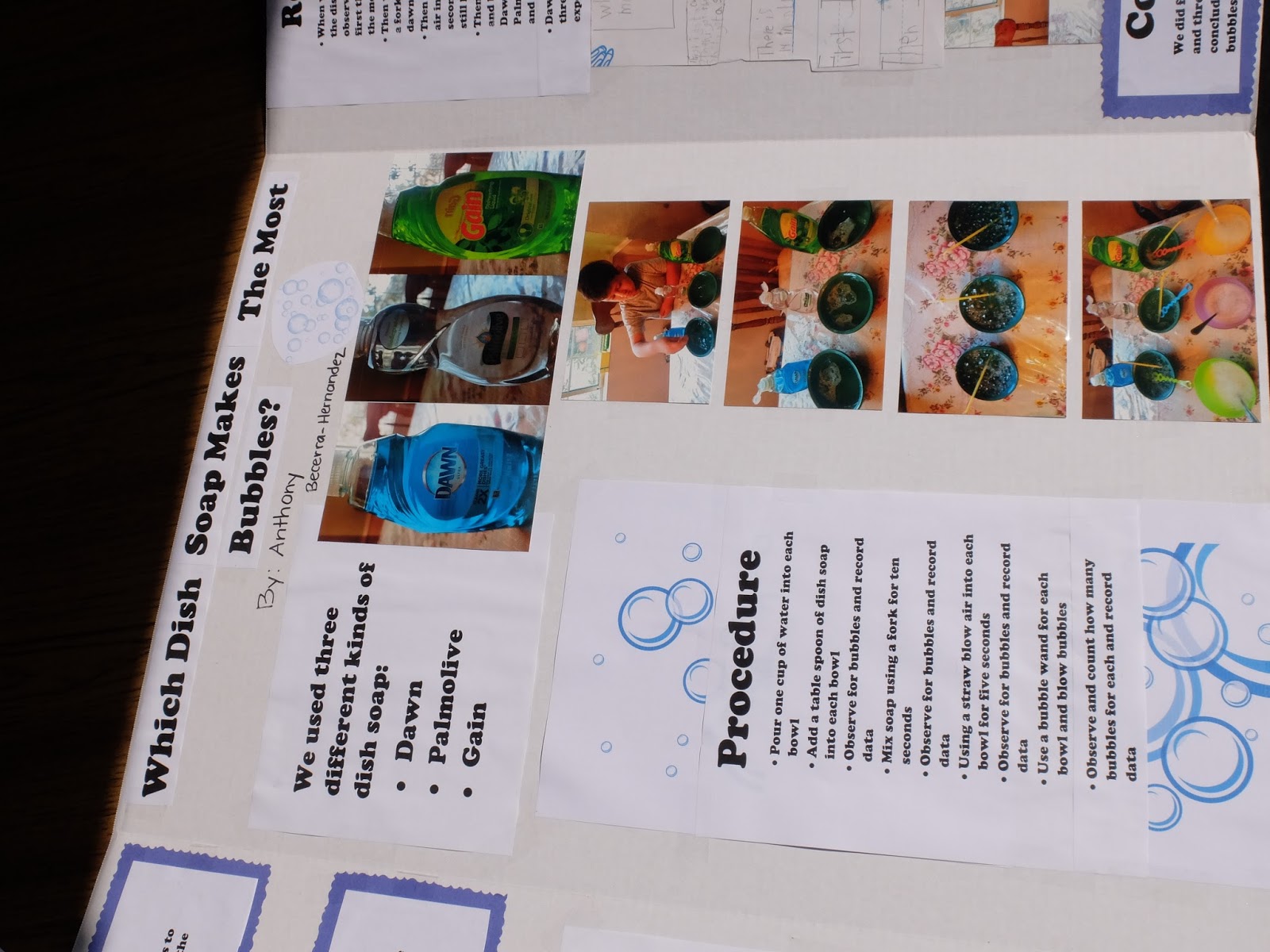 First Grade Adventurers Science Fair Projects