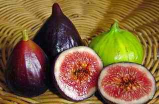 INFO TENTANG BUAH TIN / ZAITUN http://tipspetani.blogspot.com/2016/05/info-tentang-buah-tin-zaitun.html