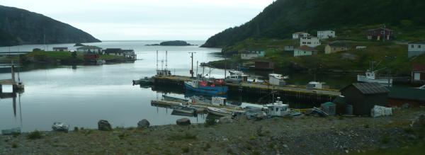 picture of fishing harbor in newfoundland canada