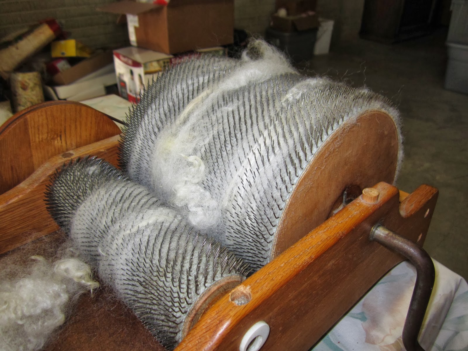 FILIGREE FROM FIELDS AND FENCES: CARDING ROMNEY WOOL