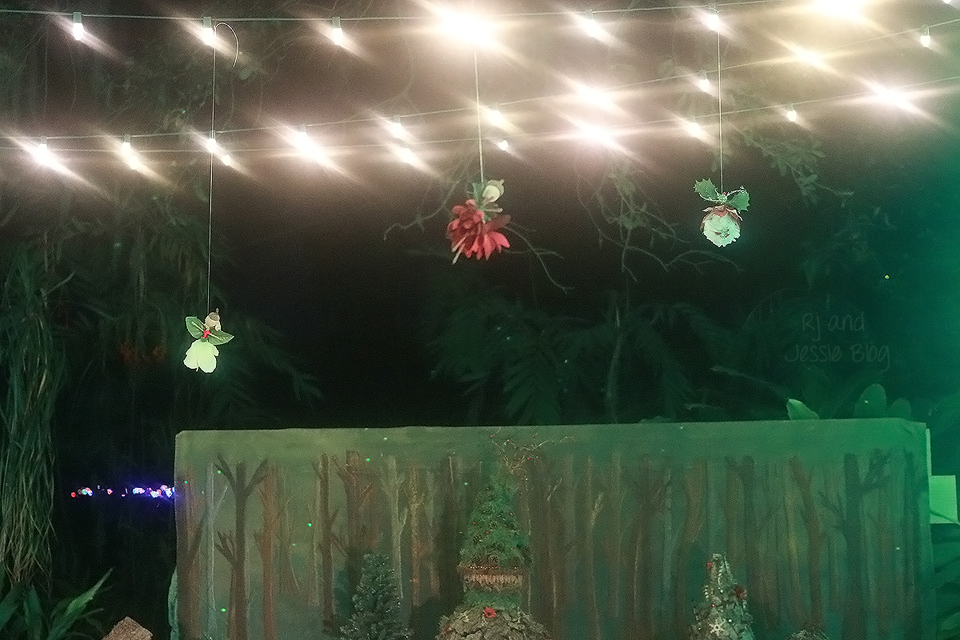 Zoo Lights at Jacksonville Zoo 2016