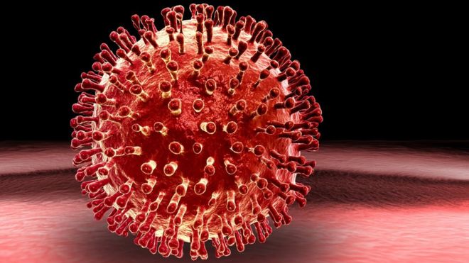 Peneliti Temukan Virus yang Bisa Ubah Korbannya Menjadi Batu Peneliti Temukan Virus yang Bisa Ubah Korbannya Menjadi Batu